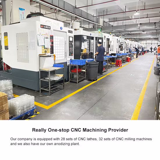 Serviço de usinagem CNC pequeno de alta precisão/torneamento/fresamento/perfuração de peças metálicas